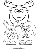 animals