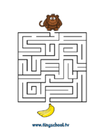 maze